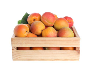 Delicious ripe apricots in wooden crate isolated on white