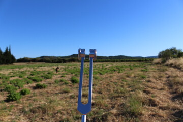 diapason thérapeutique