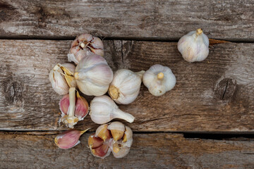 Fresh garlic on a rustic wooden table. Top view