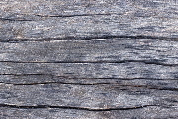 Old dry wooden background. Old natural wooden shabby gray surface texture, with horizontal patterns.