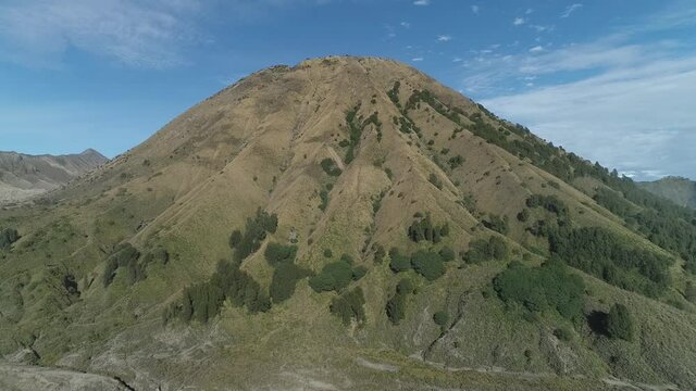 Bugbug Bilder Durchsuchen 64 Archivfotos, und Videos