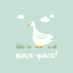 Hand drawn illustration with goose, grass and english text. Quack - quack! Colorful background. Poster design with birds. Decorative backdrop vector. Funny card
