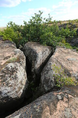 Crack in Arbuzynsky Canyon, Mykolaiv Region, Ukraine