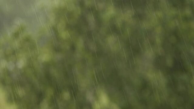 Rainy abstract 4k video background. Closeup view of big raindrops falling down isolated at blurry green leaves background.