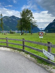 Dorf Hallstadt in Österreich im sommer am see