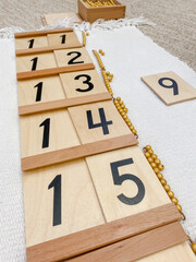 Montessori material Segen wood board # 1 with golden material