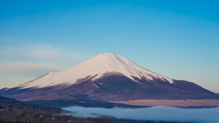 早春のパノラマ台（山中湖村）から青空を背景にした富士山を望む