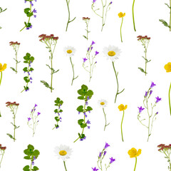 Seamless background with summer meadow flowers