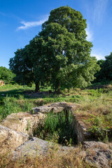 Archaeological excavation site of the 2700 year old ancient city Bathonea has harbor and city ruins on the coasts of Kucukcekmece Lake,Istanbul,Turkey.