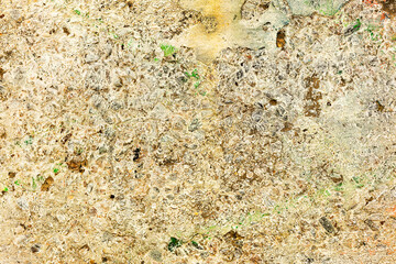 Great colorful background or texture. Abstract concrete is aged with cracks, scratches and remnants of old paint in different shades. Rough concrete surface
