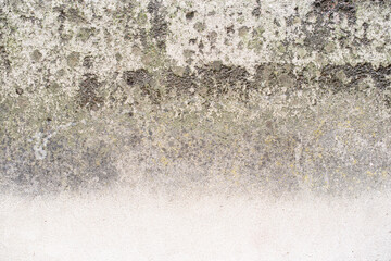 Vintage or grungy gradient white background from natural cement or stone old texture as wall in retro style, with mold