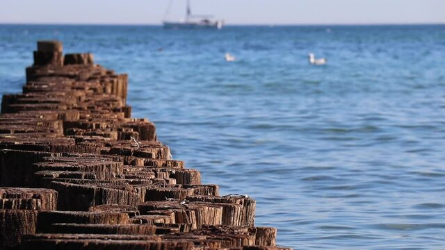 Eine Buhne in der Ostsee