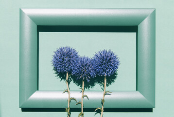 Beautiful eryngium flowers on colorful background with a frame.