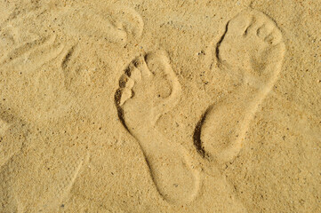 Fototapeta na wymiar close-up - footprints of a man on golden sand on a sunny summer day