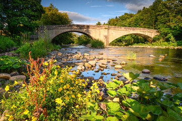 Fototapeta premium River Wear flows under Witton Bridge, a road bridge and is Grade 2 listed, located just south of Witton-le-Wear in County Durham and has woodland along the riverbank
