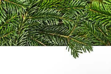 Tannenzweige hinter weißem Karton