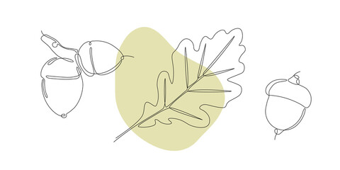 One line art leavs and acorn. Single line art. Nature illustration for design