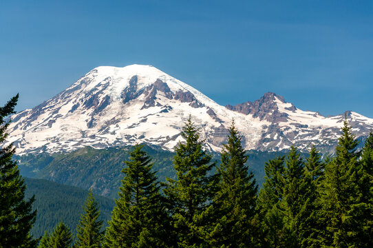 Mount Mt. Rainer Cascade Range Pacific Northwest Washington snow covered mountain peak and pine tree forest