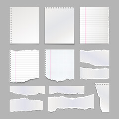 Different blank torn notebook pages with shadow. Pieces of ripped paper for notes. Vector illustration