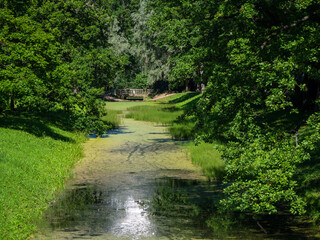 Landscape with a river in an old green Park