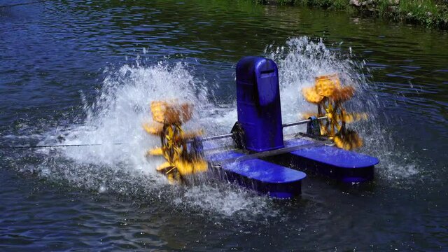 Umw&auml;lzer in einem Fischteich