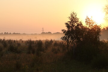 Fototapeta na wymiar morning fog over the field