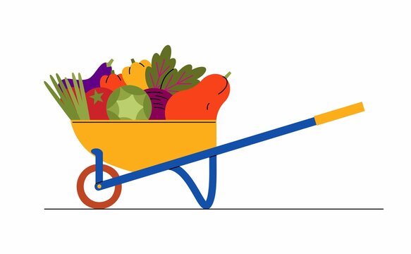 Garden weelbarrow full of vegetables. Flat vector illustration.
