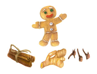 Watercolor illustration set. Isolated. Gingerbread man. Christmas menu for home, café, restaurant. Cooking. Aroma. Decoration. Spice.