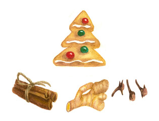 Watercolor illustration set. Isolated. Gingerbread tree. Christmas menu for home, café, restaurant. Cooking. Aroma. Decoration. Spice.
