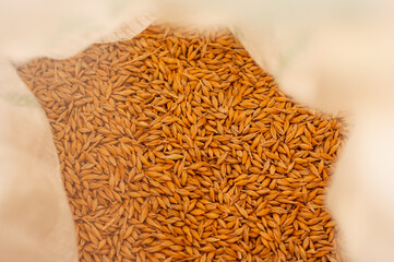 Raw wheat for animal feeding in a bag