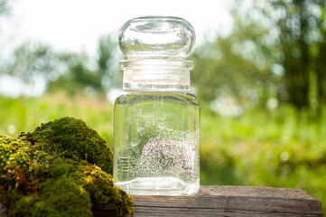glass jar with water in nature, with branches of moss and reeds
