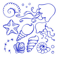 Hand drawn collection of various seashell,  jellyfish and starfish. Isolated on white background. Vector illustration.