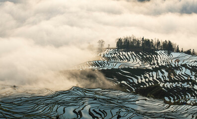 Yuanyang rice terrace, Yunnan, China