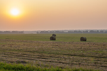 A few round bales of yellow hay in a field at sunset. Harvesting hay for the household
