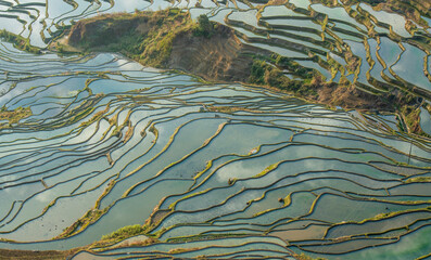 Yuanyang rice terrace, Yunnan, China
