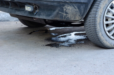 Leakage of antifreeze on the asphalt from damaged car.