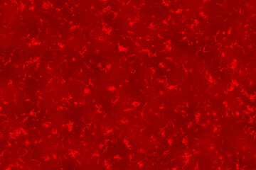 Shiny red metalic foil texture background. Red pattern, Luxury pattern. Dark red foil texture....