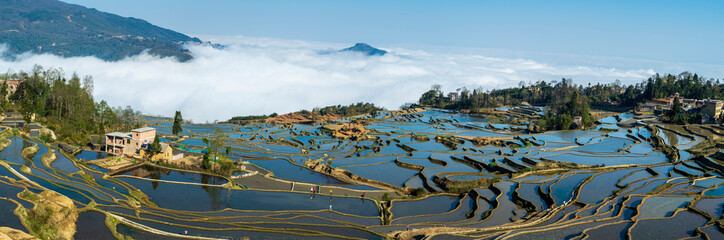 Yuanyang rice terrace, Yunnan, China