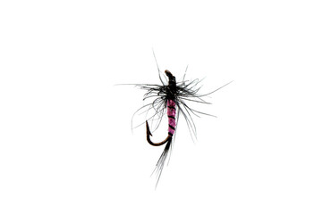 Fly for fishing on white background .