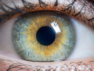 close up of human eye