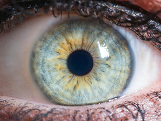 close up of human eye