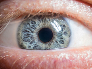 close up of human eye