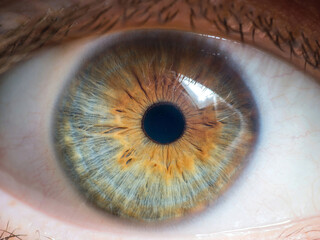 close up of human eye