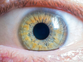 close up of human eye
