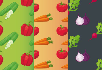 fresh local vegetables in set colors backgrounds