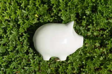 piggy bank - money finance capital concept wealth
