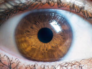 close up of human eye