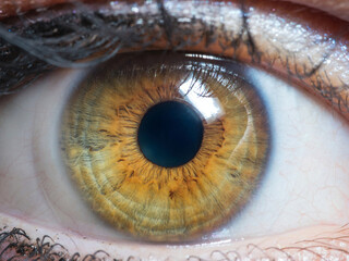 close up of human eye
