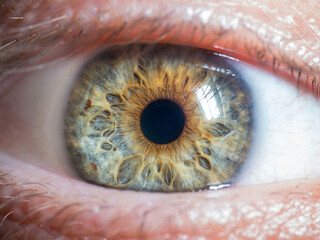 close up of human eye
