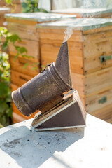 smoke tool in an apiary closeup